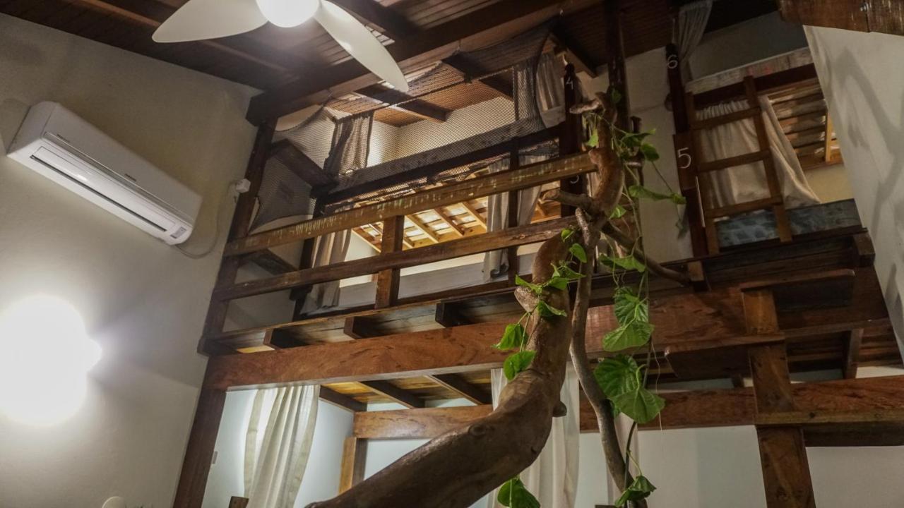 Rosemary Dream Albergue Florianopolis