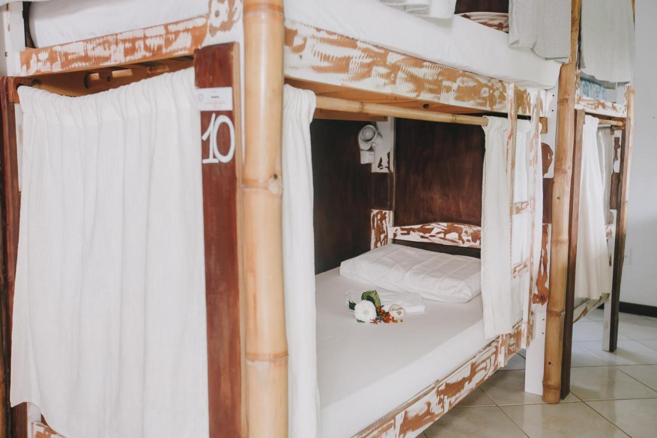 Rosemary Dream Albergue Florianopolis